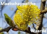 Maatschappelijke Waarde